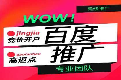 竞价开户推广案例市场分析