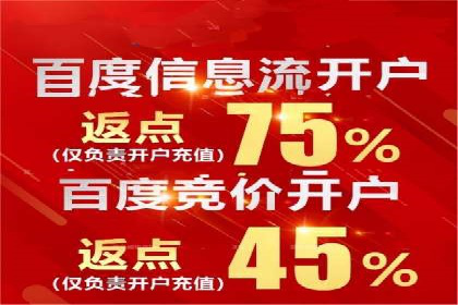 成功案例解读：SEM推广代运营策略